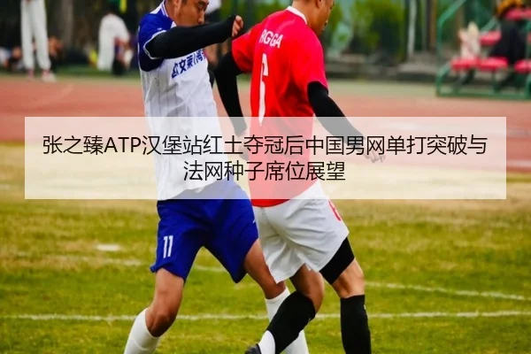 张之臻ATP汉堡站红土夺冠后中国男网单打突破与法网种子席位展望